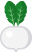 Turnip
