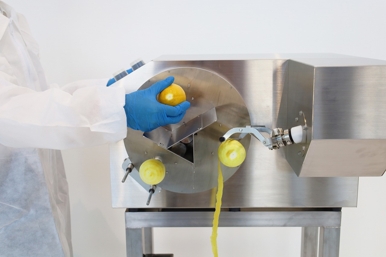 Automated Peeling Machine FAP-1001