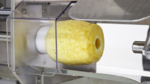 FAP-3000 Coring